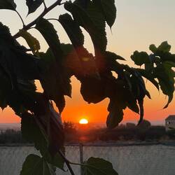 Sonnenuntergang 20.38 Uhr