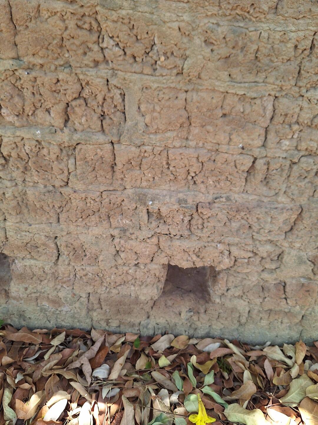Mauer aus Termitenhügelstein😊