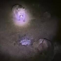 Na also. Brot ist fein.