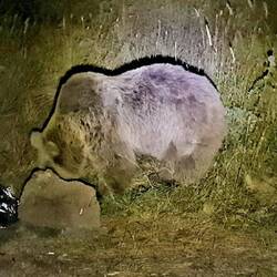 Wassermelone 🍉 hat geschmeckt