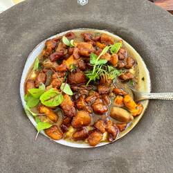 Pilzagrout (polenta and mushrooms with burnt pork)