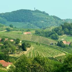 View from our restaurant