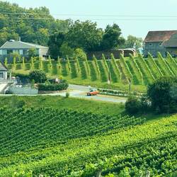 View of the countryside
