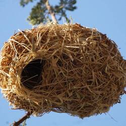 es witers Meisterwerk