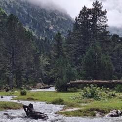 ....ein kleines Delta