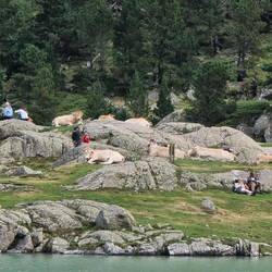 Alle vereint am Chillen