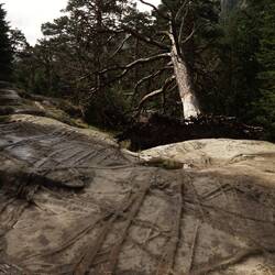Über Jahrtausende ausgewaschen Quarzadern im Granit erzeugen so faszinierende Strukturmuster
