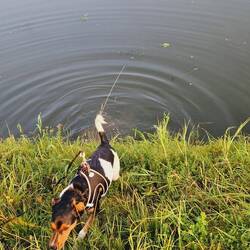 Hinein in's kühle Nass!