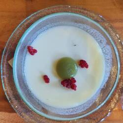 Panacotta
