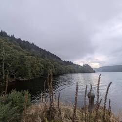 Nessie?