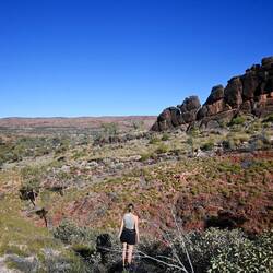 Ellery Creek Rundweg