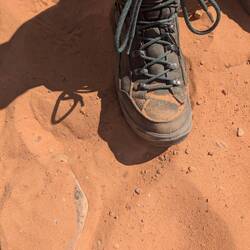 Die Wanderschuhe haben dieses Jahr schon viel mitgemacht.