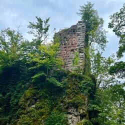 Château Ruine du Nidek