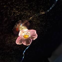 Ganz viele leuchtende Blümchen 🙃