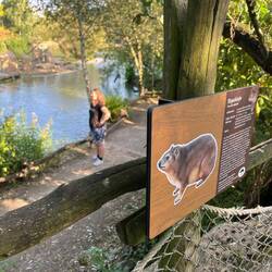 Ein sehr interessantes Tier in diesem Gehege