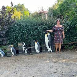 Found Penguins!