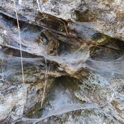Spinnenweben überziehen die Felswände neben dem Wanderweg