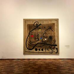 Miró auf einem Leintuch der Olivenernte 🥰