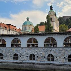 Markthalle, Dom und Burg