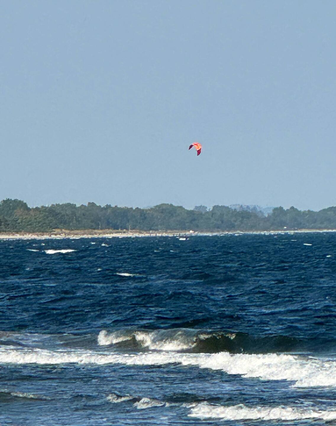 Die wilde Ostsee