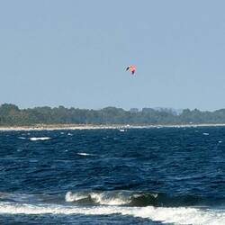 Die wilde Ostsee