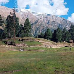 Fairy Meadows