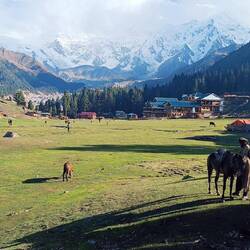 Fairy Meadows & Nanga Parbat Massiv