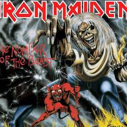 Musikalisch immer dabei!