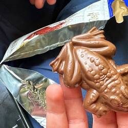 Fünf Pfund Schokoladenfrosch!