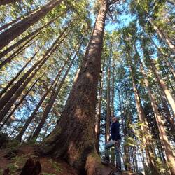 65m geht es hoch hinaus