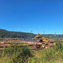 Mit viel Logging Industrie