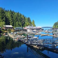 Zurück auf "the Island": Telegraph Cove