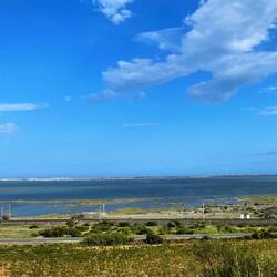 Ebrodelta