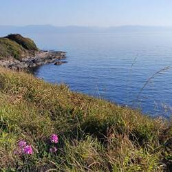 Views back to the Olympic Peninsula in the US