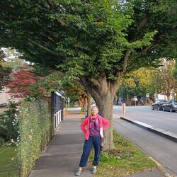 Leafy streets in the early morning
