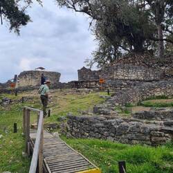 Bäume und Gebüsch überwuchern weite Teile des Areals.