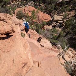 Man sollte schon trittsicher sein und keine Höhenangst haben.