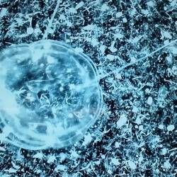 A picture of plankton in seawater