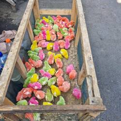 Popcorn chicken as Fox calls them