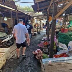 Gotta watch where your walking