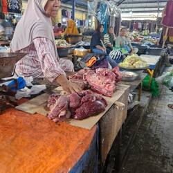 You can't see the flys but be reassured they are there in their 1000's