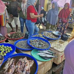 Mmmm, yum, squid in a brown juice...lol that's dinner by the way