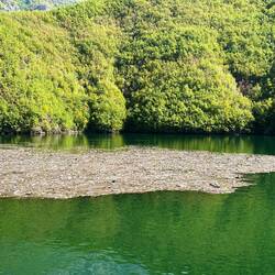 Leider auch hier alles Plastik Müll ☹️