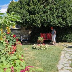 De tuin met de Brugmansia's