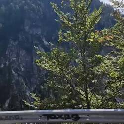 Ganz schön hoch 🤯