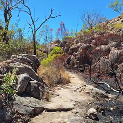 Toller Trail to upper pool