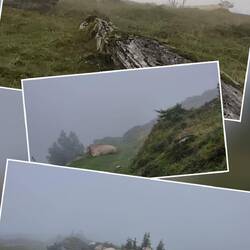 Die Späher beobachten das Umfeld, die Wegelagerer behüten die Liegewiese