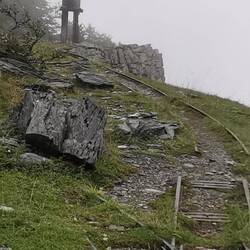 Reste einer alten Lohrenbahn