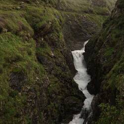 Vom wilden Tosen angelockt