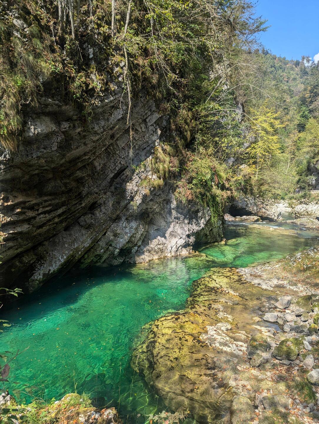 Die Sava